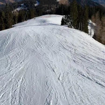 Feistritz Berg Und *